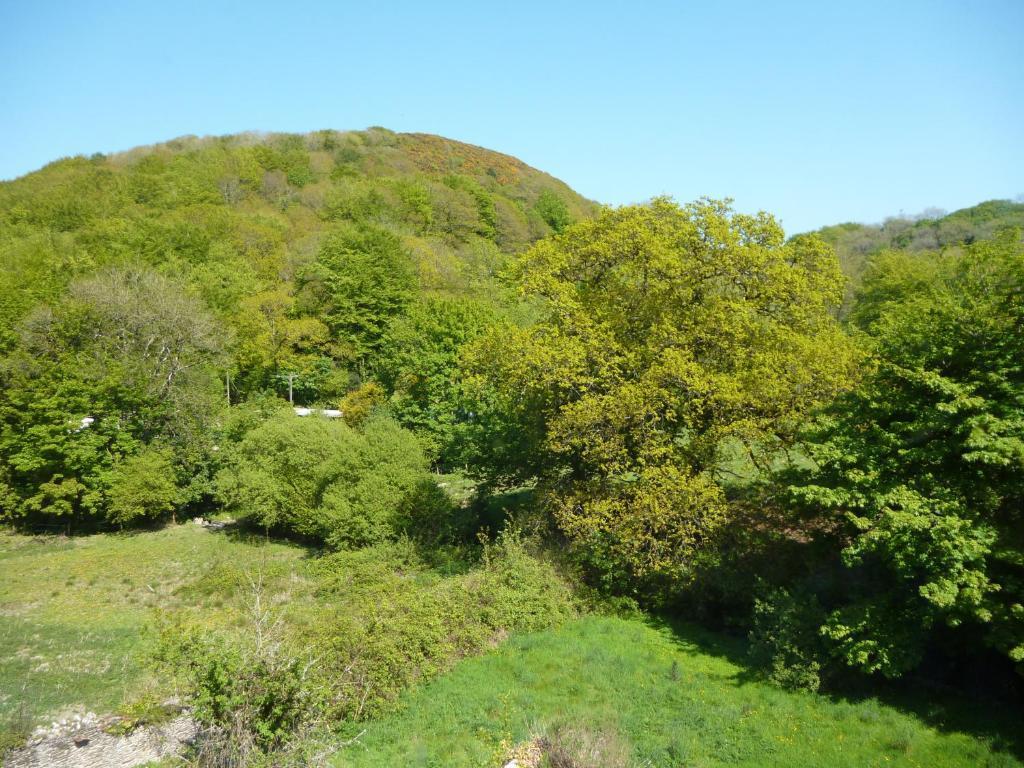 Score Valley Country House Ilfracombe Cameră foto